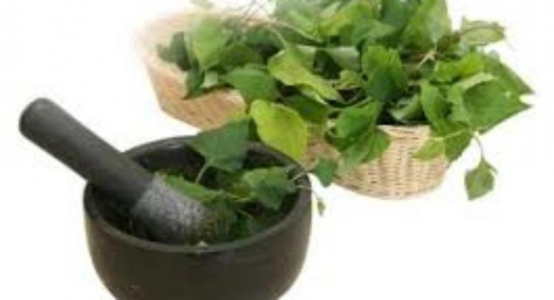 Giã nát diếp cá đắp lên mắt cũng có tác dụng trị đau mắt đỏ rất tốt.