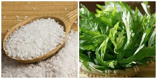 Bài thuốc đắp chữa gai cột sống từ ngải cứu và muối biển có tác dụng giảm cơn đau cấp tính