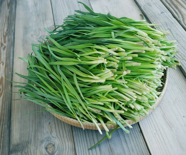 Cách chữa viêm amidan tại nhà với lá hẹ