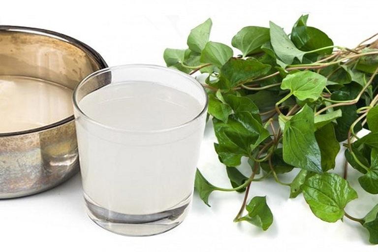 Công thức trị ho bằng rau diếp cá và nước vo gạo