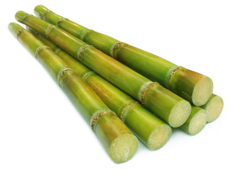 Xử lý răng ố vàng bằng mía