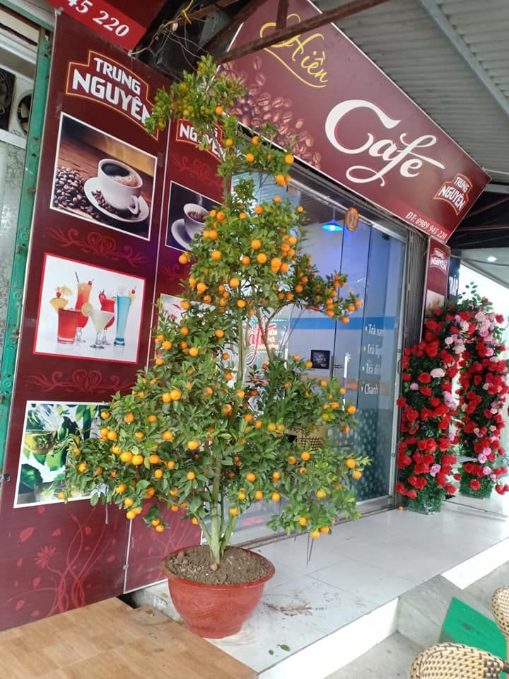 Cafe Hiền