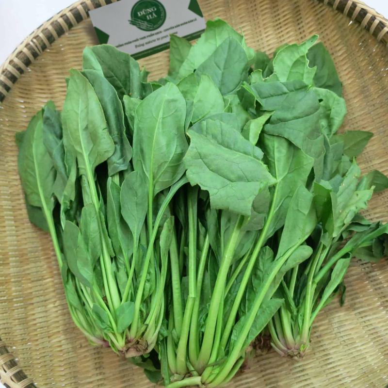 Cải bó xôi