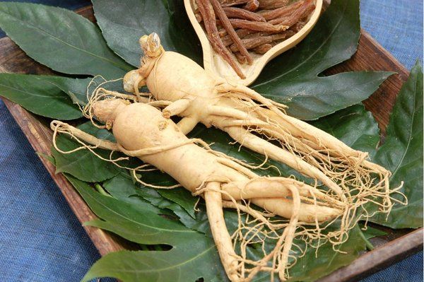 Nhân sâm khi phối hợp với các dược phẩm, thực phẩm khác giúp giảm các triệu chứng của bệnh tim mạch vành, cải thiện tình trạng suy tim xung huyết