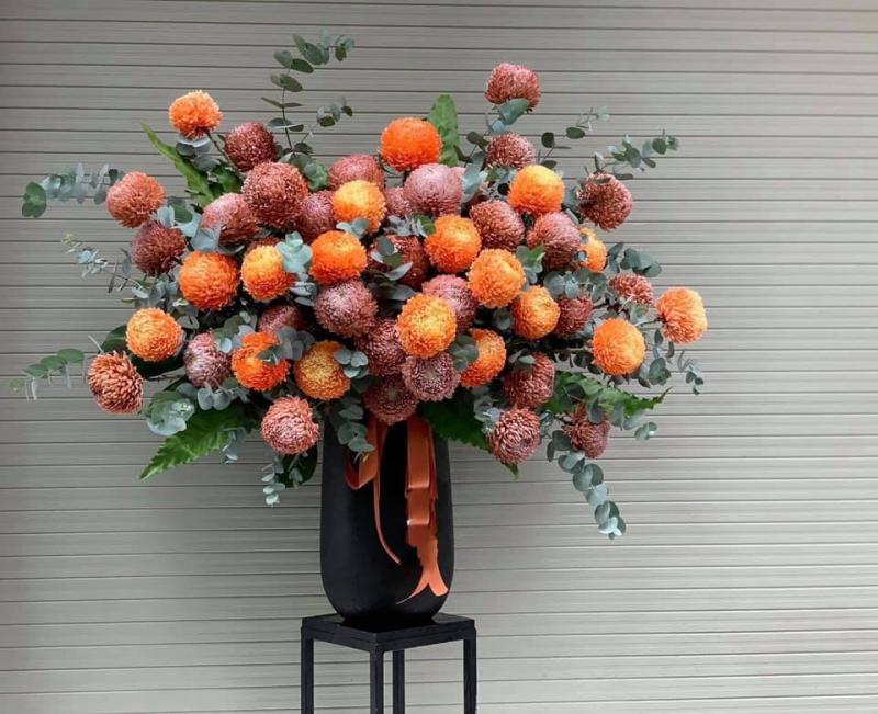 Calucky Flower - Điện Hoa Nghệ An