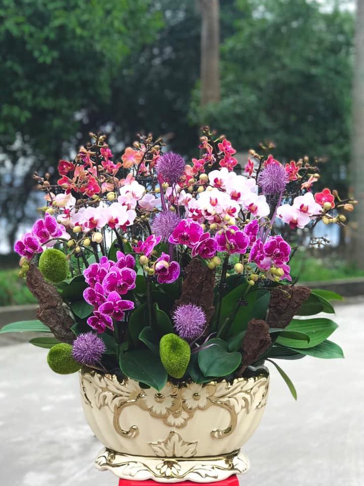 Calucky Flower - Điện Hoa Nghệ An