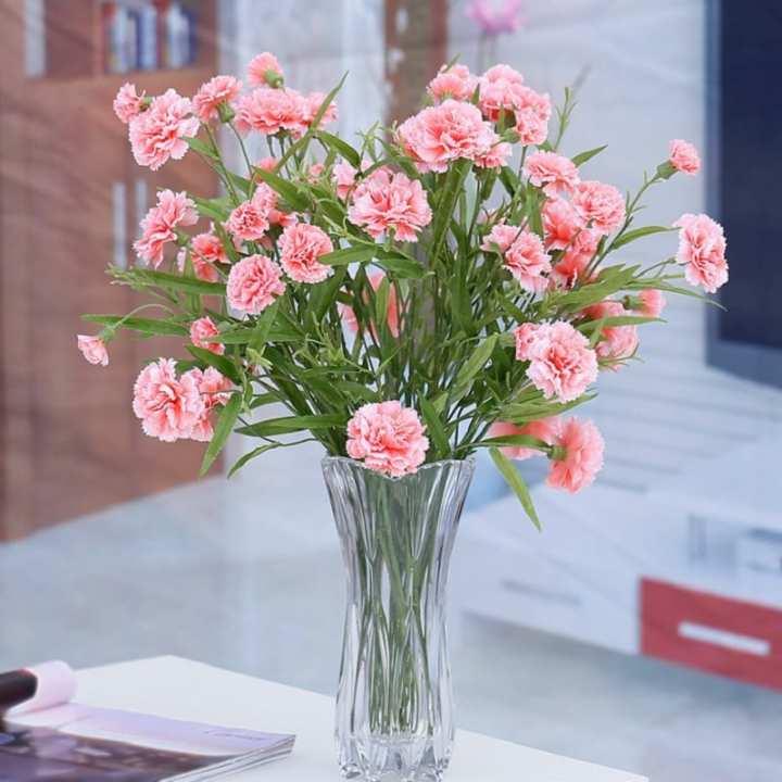 Cắm hoa cẩm chướng