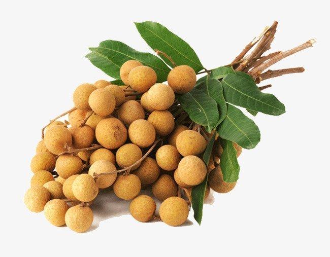 Cầm máu, chữa lành các vết thương rắn cắn