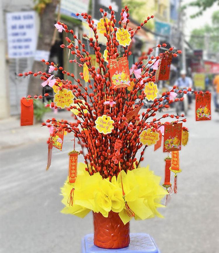Cắm nụ tầm xuân