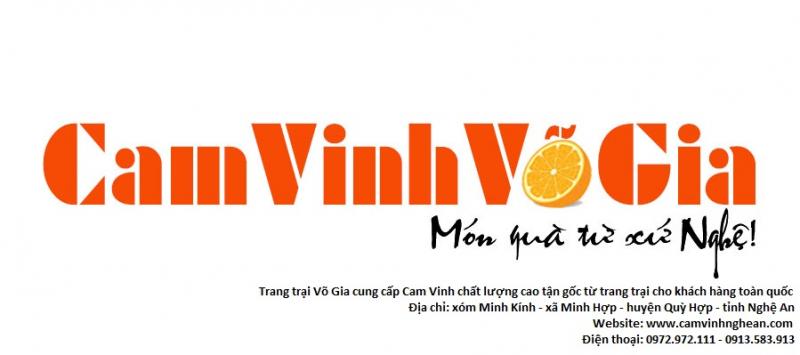 Cam Vinh Quỳ Hợp - Trang Trại Võ Gia