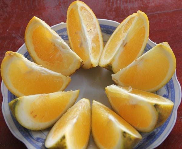Cam xã Đoài nước cam vàng ngọt như mật
