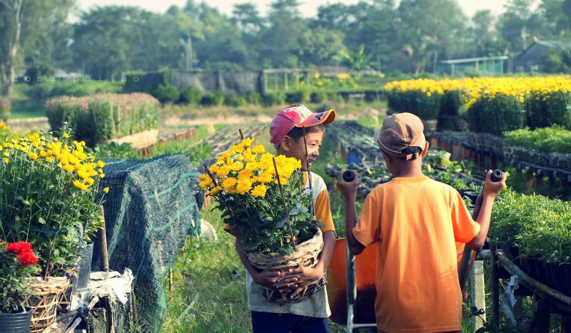 Cần định mức giá trị theo từng thời điểm