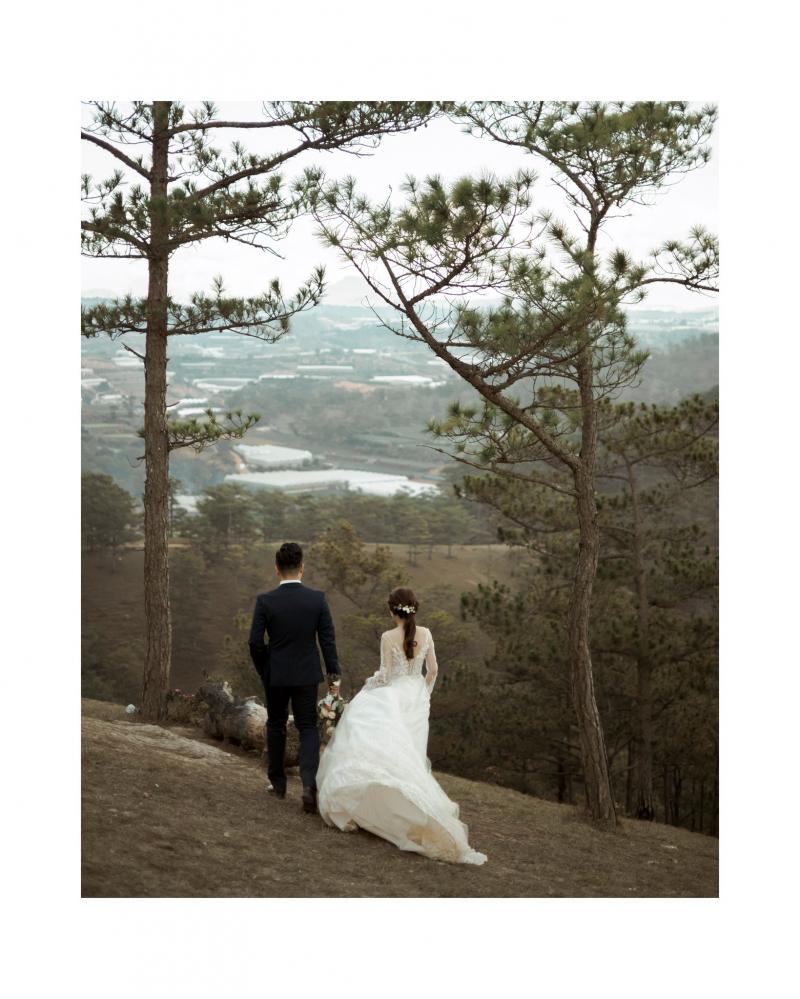 Canary Wedding Studio