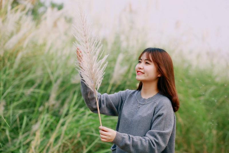 Cánh đồng cỏ lau