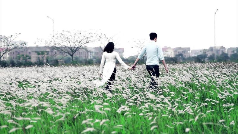 Ảnh cưới tại cánh đồng cỏ lau