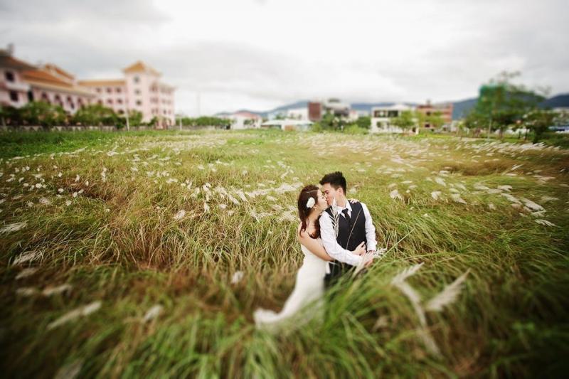 Ảnh cưới tại cánh đồng cỏ lau