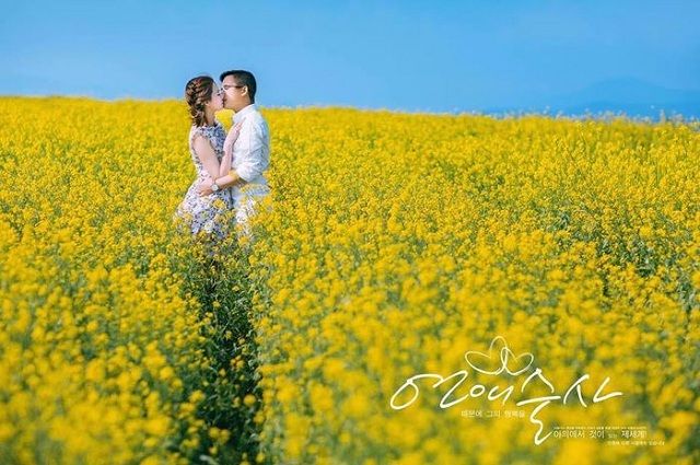 Ảnh tình nhân lãng mạn tại cánh đồng hoa cải vàng Đà Lạt