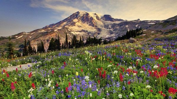 Vườn quốc gia Mount Rainier