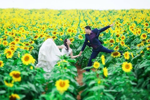 Nhiều cặp đôi tìm đến đây ghi lại khoảnh khắc ý nghĩa trong đời