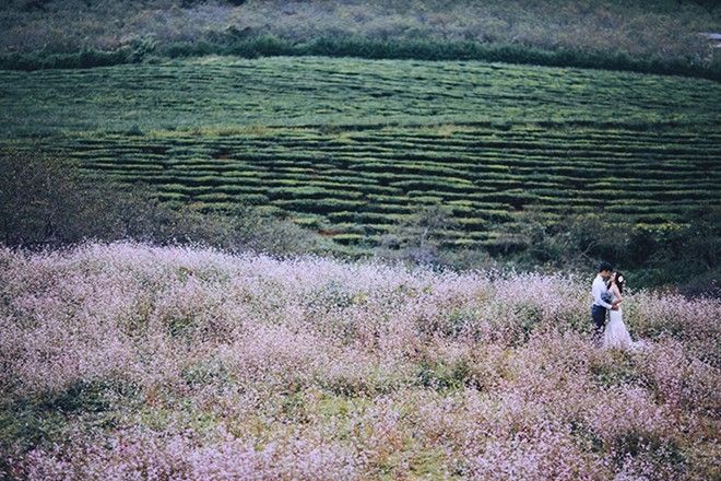 Khung cảnh lãng mạn này sẽ được lưu giữ lại như câu chuyện tình đẹp