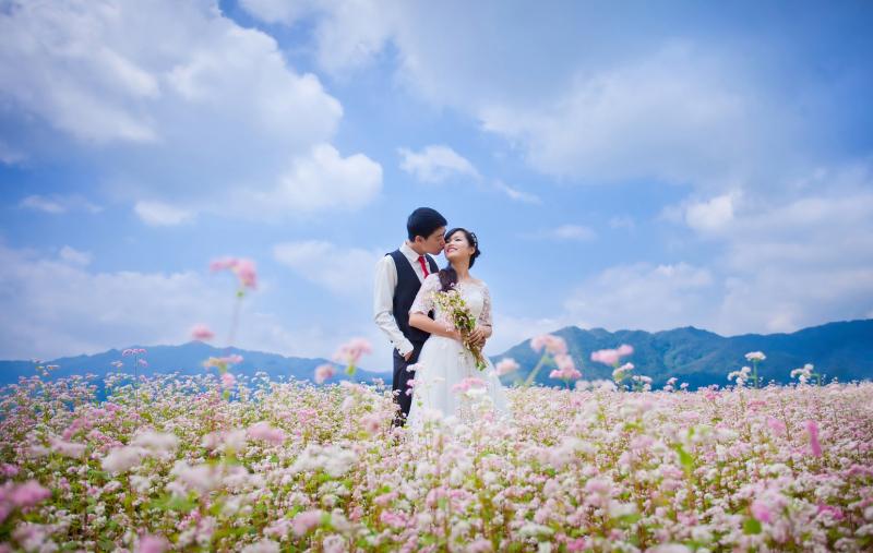 Cánh đồng hoa tam giác mạch