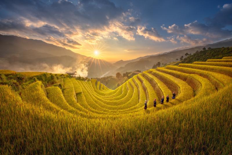Đồng quê ngày mùa