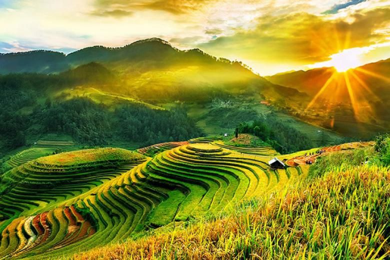 Phía sau chiến tranh