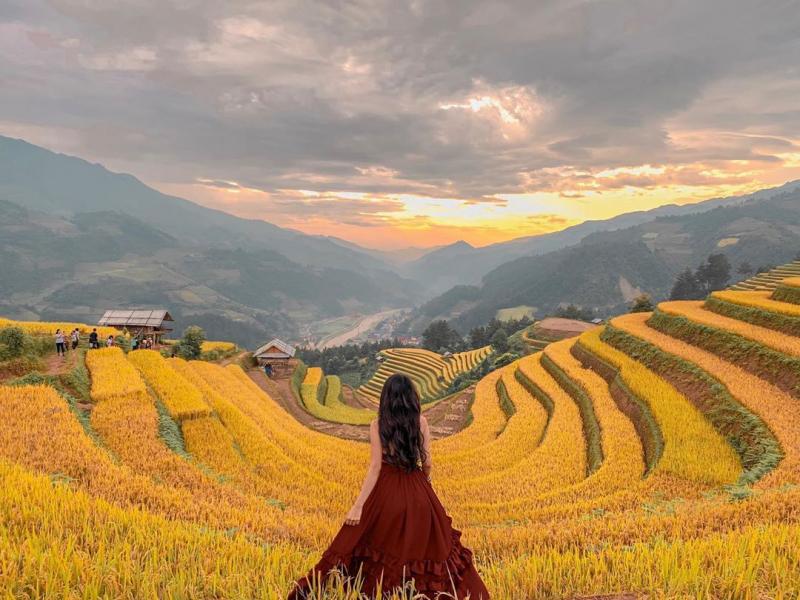 Cánh đồng làng