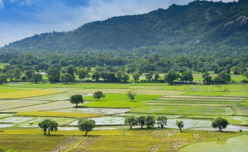 Bàn tay của thời gian