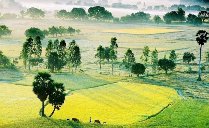 Bàn tay của thời gian