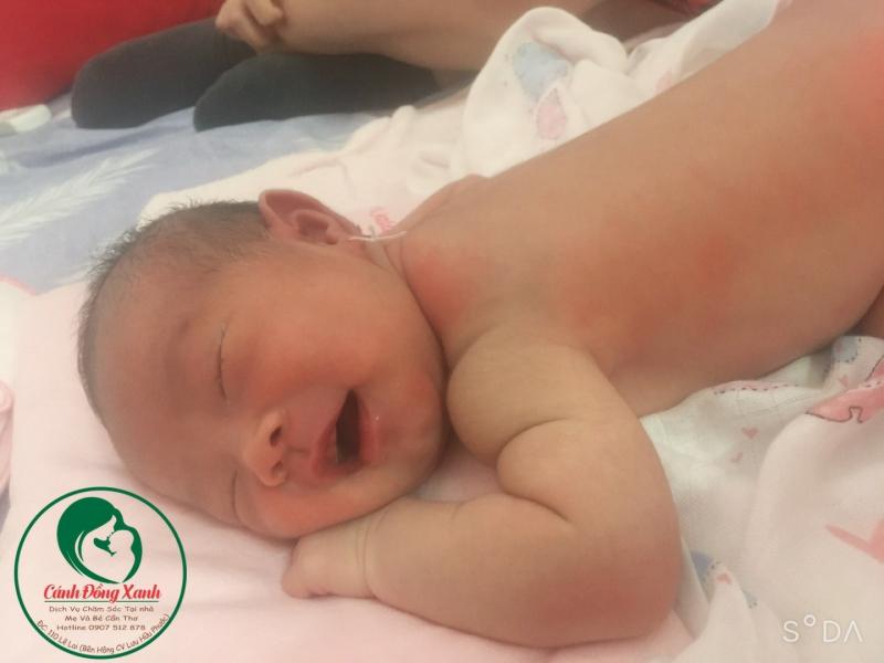 Cánh Đồng Xanh - Dịch Vụ Chăm Sóc Mẹ & Bé Tại Nhà