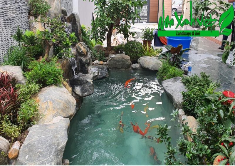 Cảnh Quan Non Xanh Việt