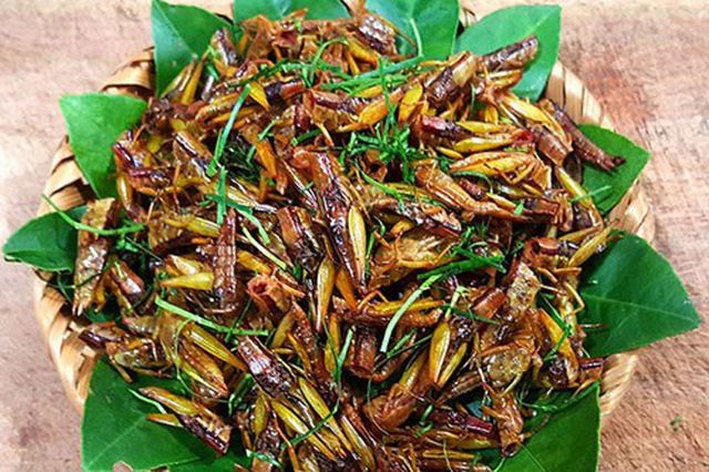 Châu chấu rang lá chanh
