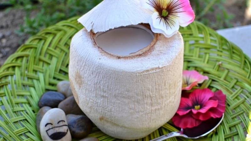Cao Nguyên - Chè, Thạch Dừa & Flan Trái Dừa