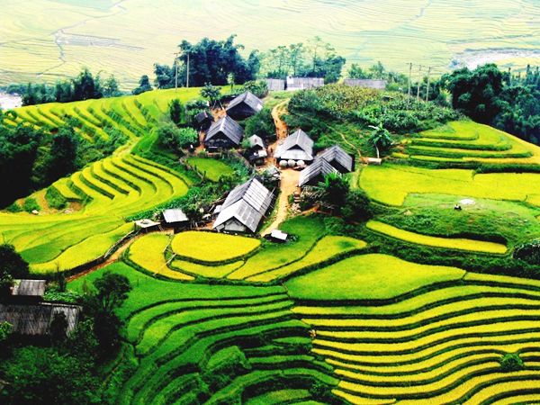 Cao nguyên Sín Chải ở Sa Pa