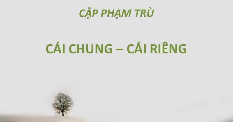 Ảnh minh họa (Nguồn internet)