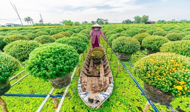 Ảnh minh hoạ (Nguồn internet)