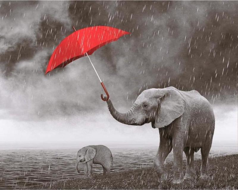 Câu chuyện về cách Mẹ dạy con