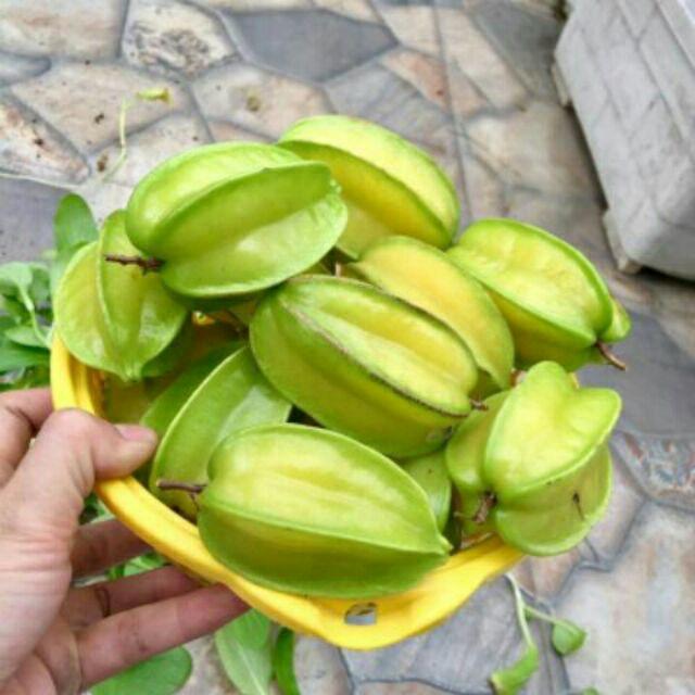 Quả khế
