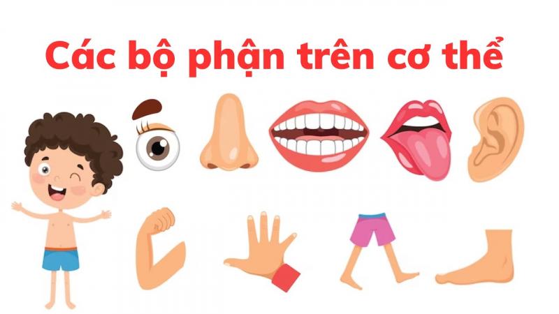 Ảnh minh hoạ (Nguồn internet)
