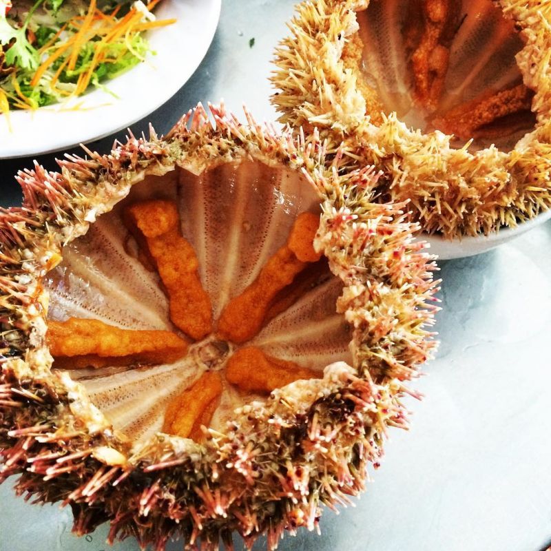 Cầu Gai Đảo Cô Tô