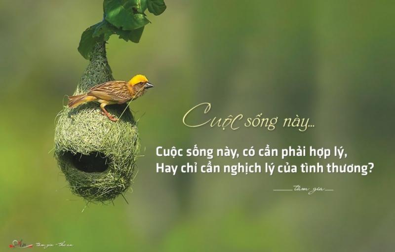 Uớc mơ sẽ dẫn bạn đến thành công