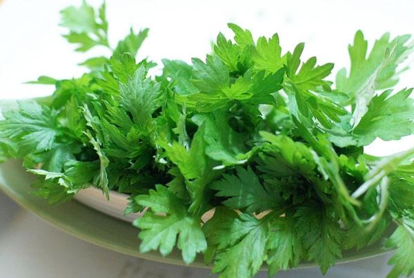 Cây ngải cứu