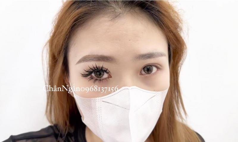 Chân Ngắn Nối Mi (Trịnh Thị Bình Minh)