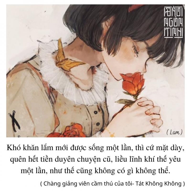 Chàng giảng viên cầm thú của tôi