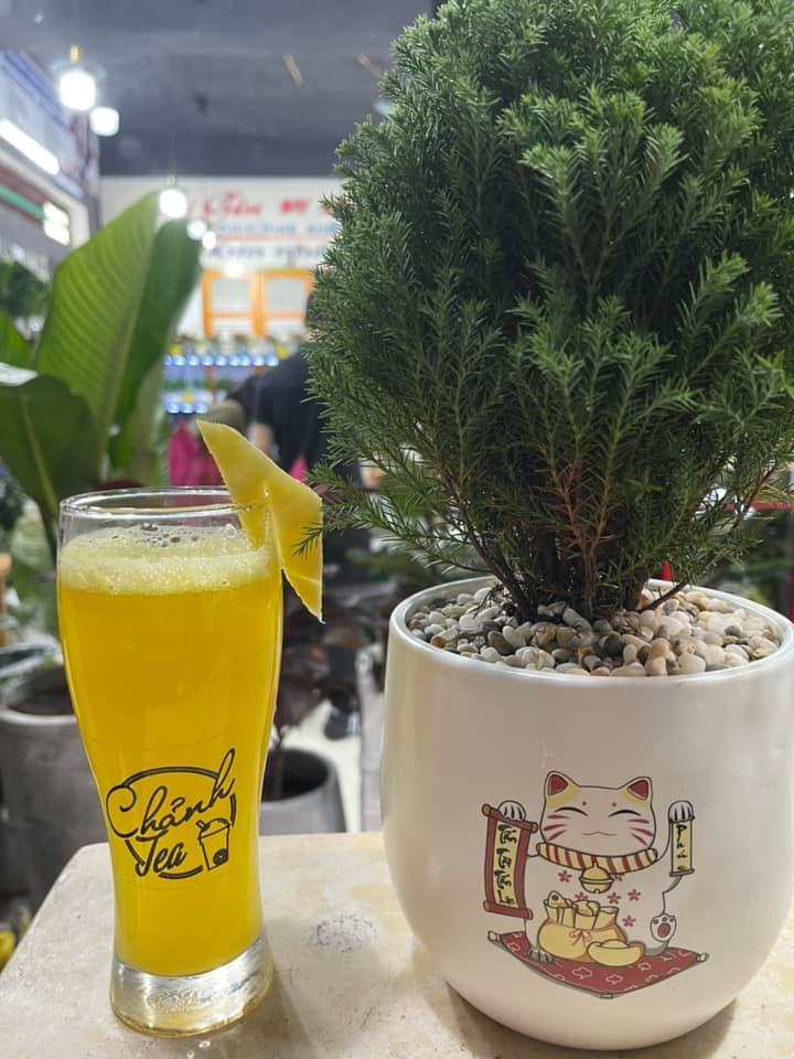 Chảnh Tea - Tiệm trà Chanh