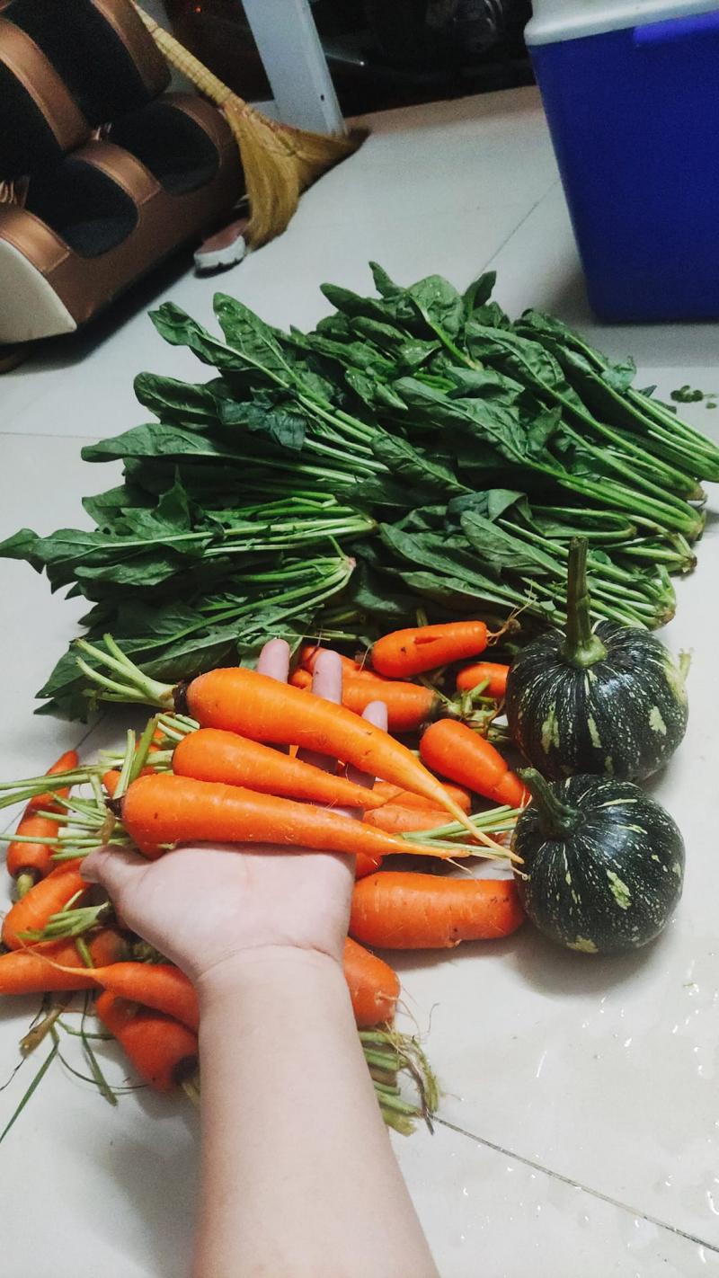 Cháo Dinh Dưỡng Cao Cấp - Mẹ Bí chú trọng trong từng nguyên liệu