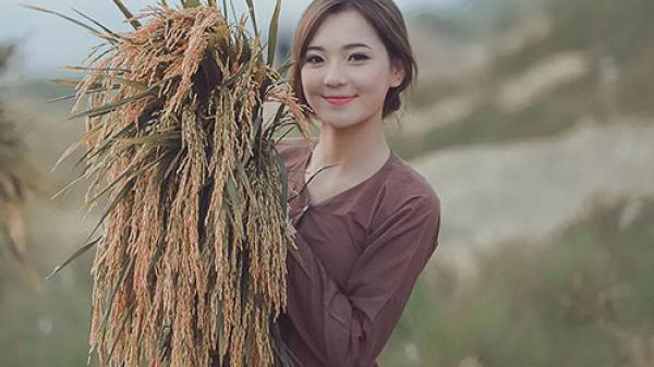 Chào em cô gái Thái Bình