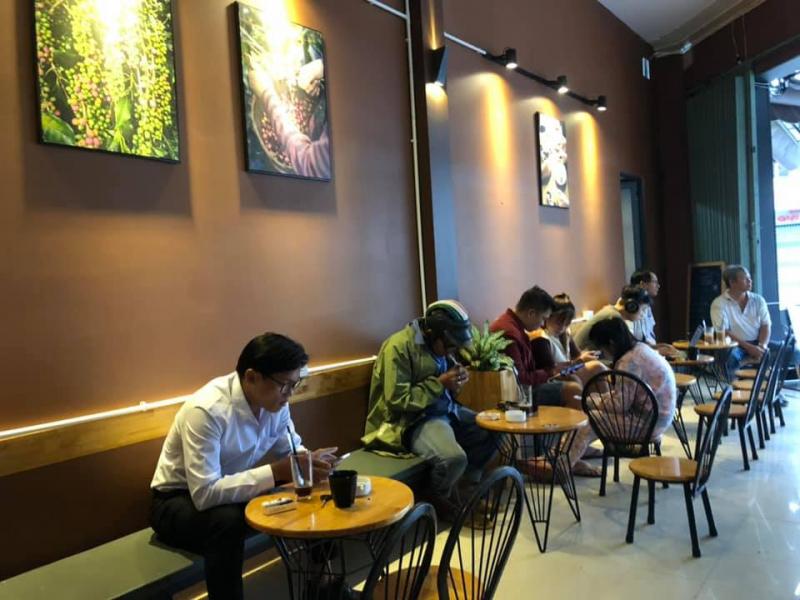 Chất Coffee