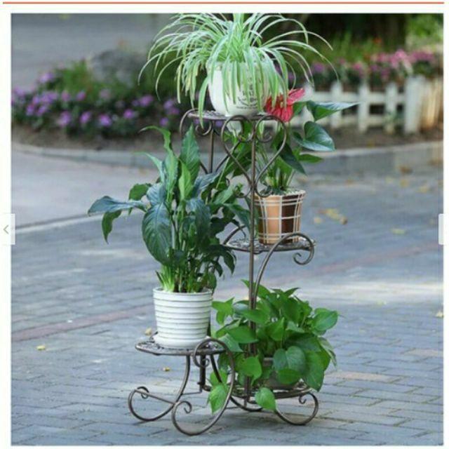 Chậu cây cảnh